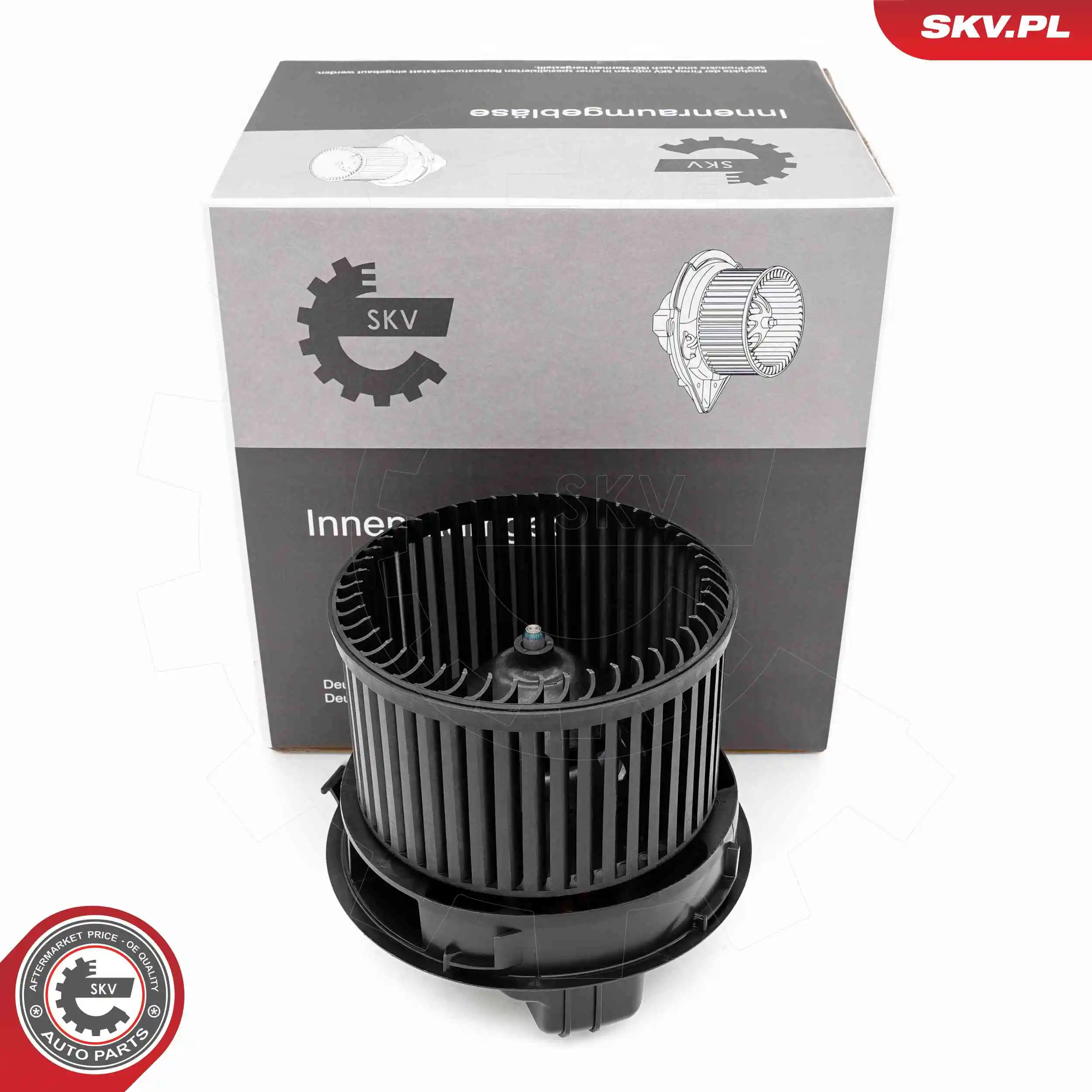 Interior Blower